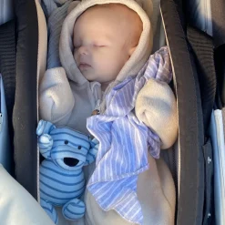 Mini Doddi Blårandig