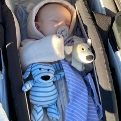 Mini Doddi Blårandig