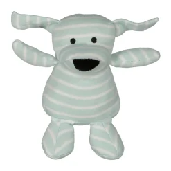 Mini Doddi Mint