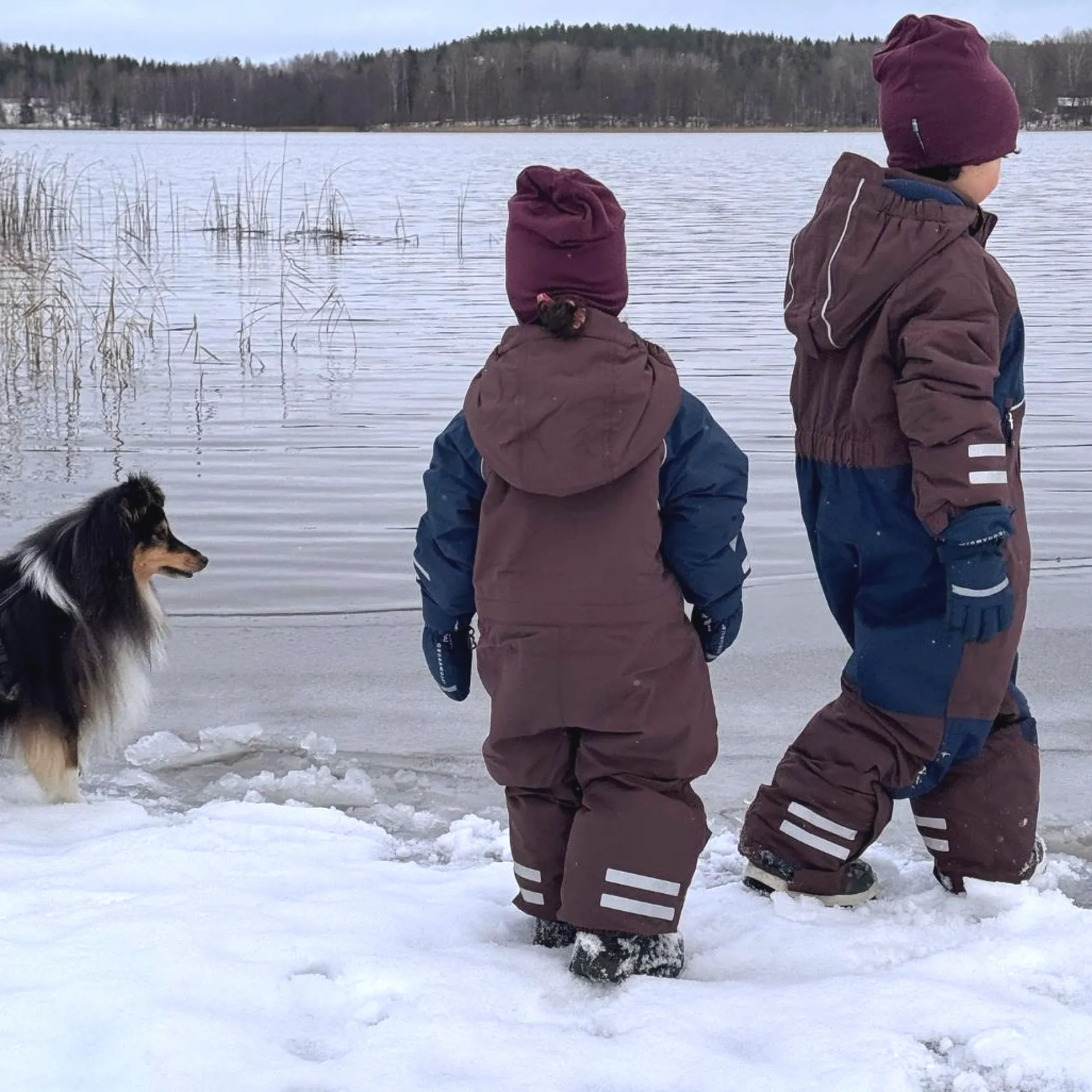 Vinteroverall Unitoddler Brun/Marinblå